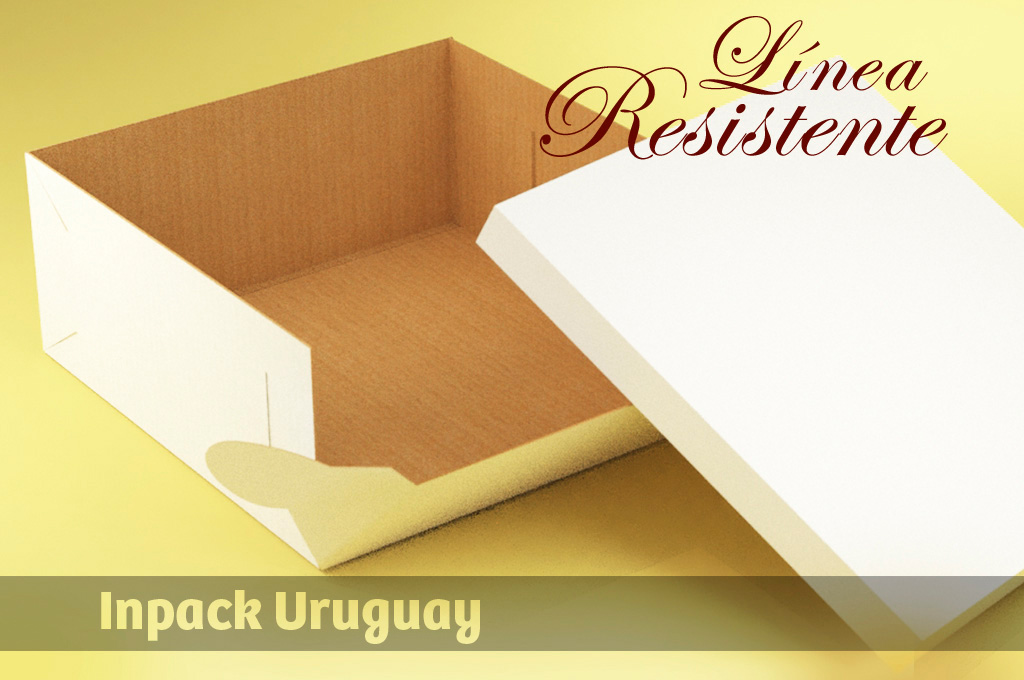Medidas: 35 x 35 x 15 cms. Base en microcorrugado y tapa en cartulina.